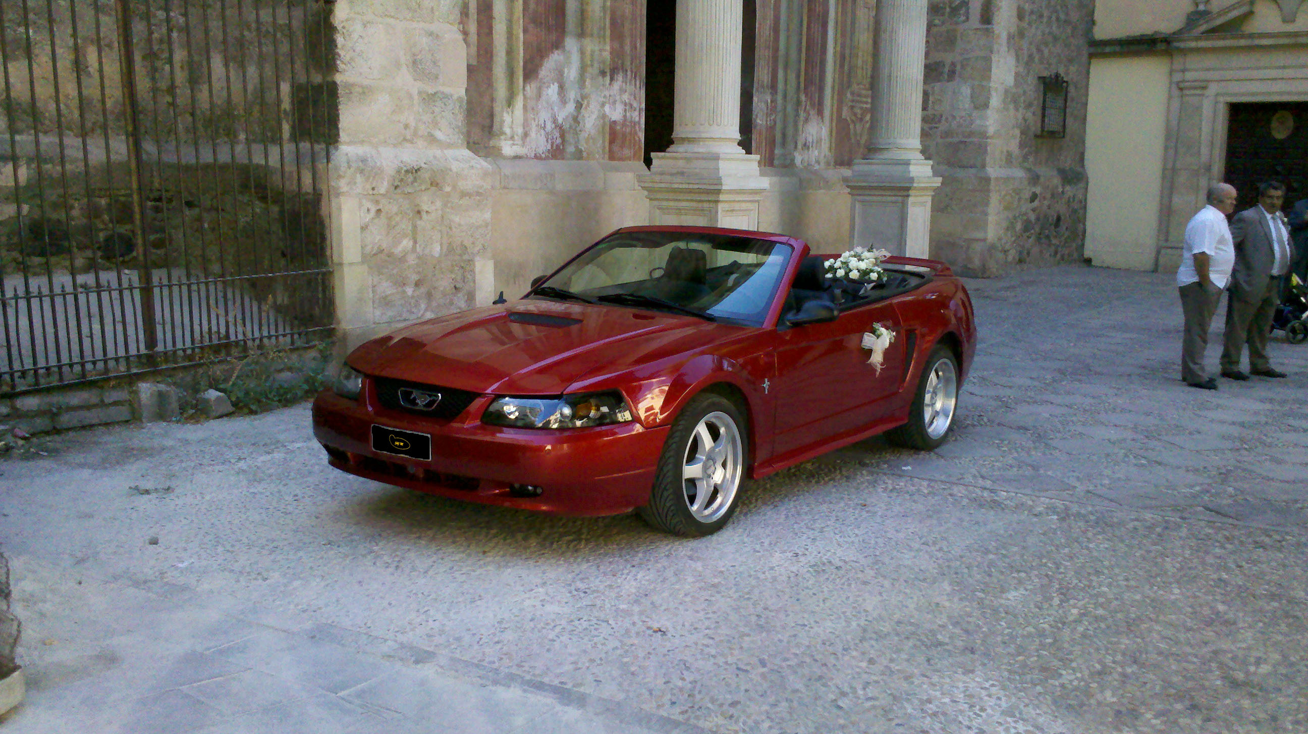 Mustang boda